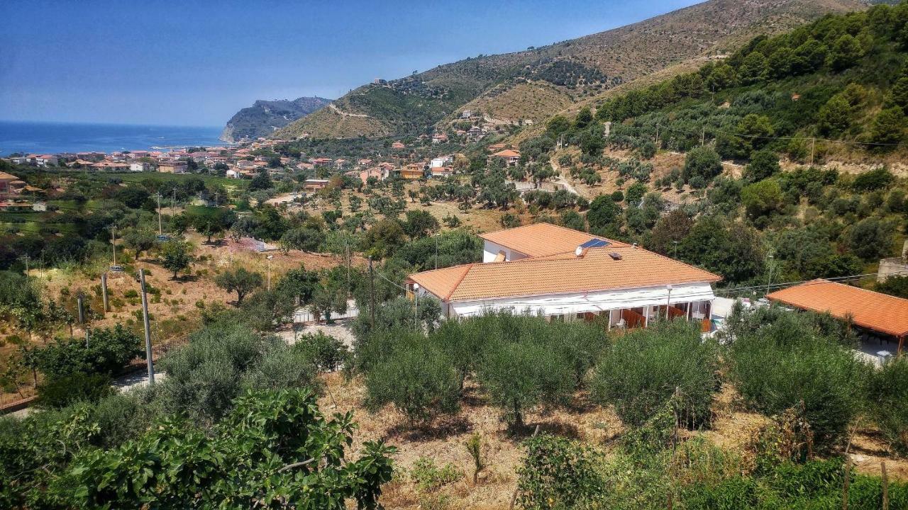 Tenuta Marga Agnone Cilento Экстерьер фото